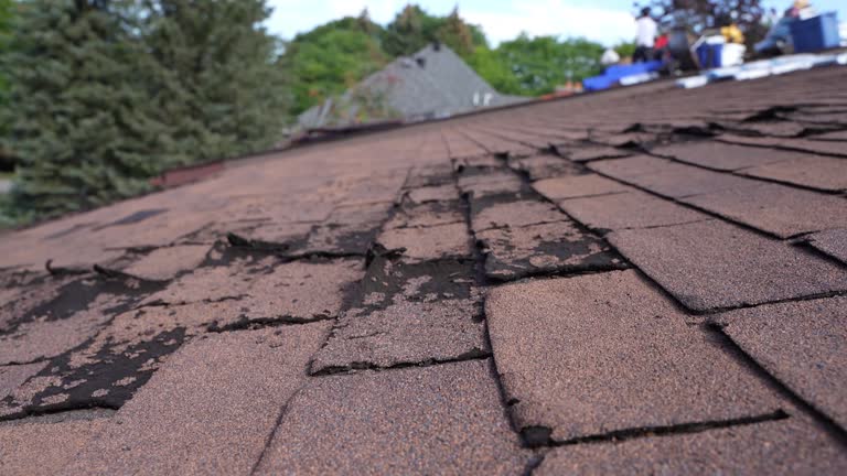 Best Asphalt Shingle Roofing  in Kerhonkson, NY